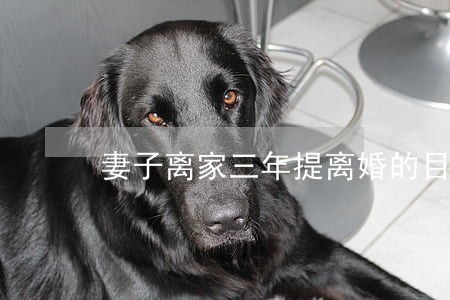 妻子离家三年提离婚的目的