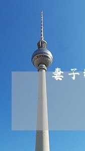 妻子精神出轨后离婚率 妻子精神出轨后离婚率