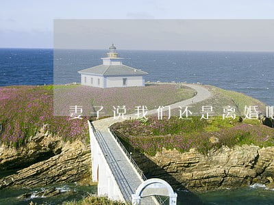 妻子说我们还是离婚吧 妻子说我们还是离婚吧