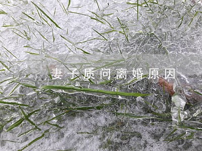 妻子质问离婚原因 妻子质问离婚原因