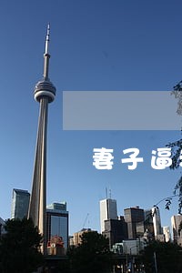 妻子逼老公签离婚协议书 妻子逼老公签离婚协议书