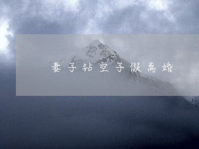妻子钻空子假离婚 妻子钻空子假离婚