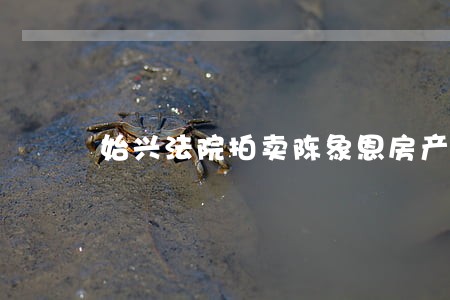 始兴法院拍卖陈象恩房产