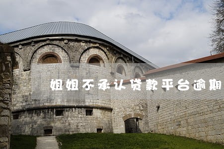 姐姐不承认贷款平台逾期 姐姐不承认贷款平台逾期