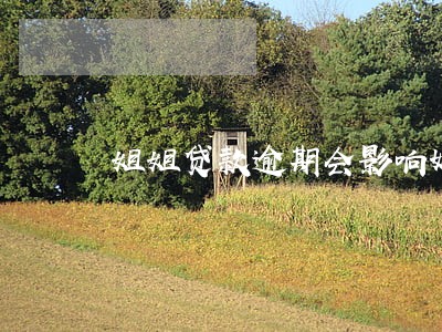 姐姐贷款逾期会影响妹妹政审吗 姐姐贷款逾期会影响妹妹政审吗