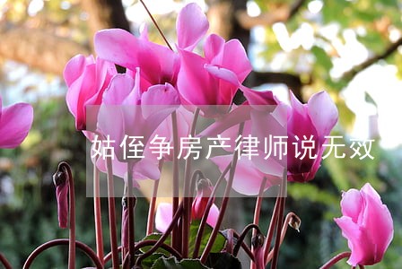 姑侄争房产律师说无效 姑侄争房产律师说无效