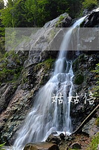姑姑信用卡严重逾期侄子能参军嘛 姑姑信用卡严重逾期侄子能参军嘛