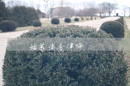 姑苏债务律师 姑苏债务律师