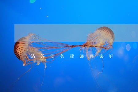 姑苏债务律师哪家好