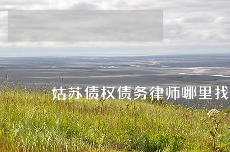 姑苏债权债务律师哪里找