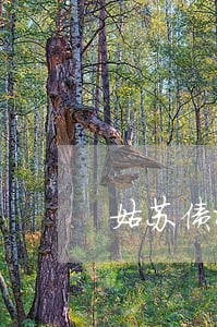 姑苏债权债务律师如何委托 姑苏债权债务律师如何委托
