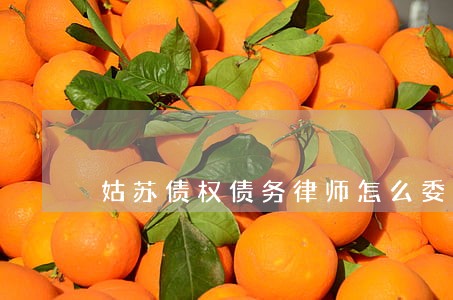 姑苏债权债务律师怎么委托 姑苏债权债务律师怎么委托