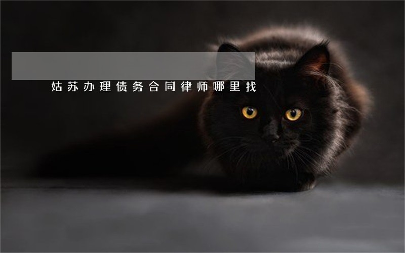姑苏办理债务合同律师哪里找 姑苏办理债务合同律师哪里找