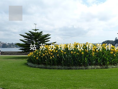 姑苏办理债权债务律师哪个好 姑苏办理债权债务律师哪个好