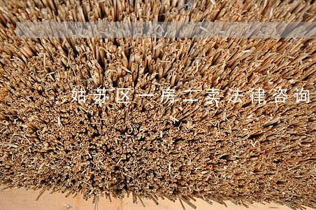 姑苏区一房二卖法律咨询 姑苏区一房二卖法律咨询