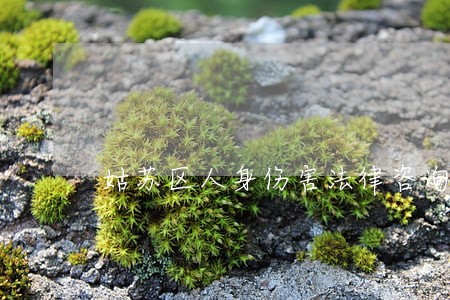姑苏区人身伤害法律咨询 姑苏区人身伤害法律咨询