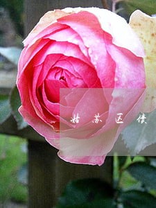 姑苏区债务合同律师 姑苏区债务合同律师