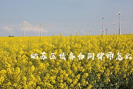 姑苏区债务合同律师怎么委托 姑苏区债务合同律师怎么委托