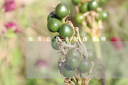 姑苏区债务担保律师 姑苏区债务担保律师