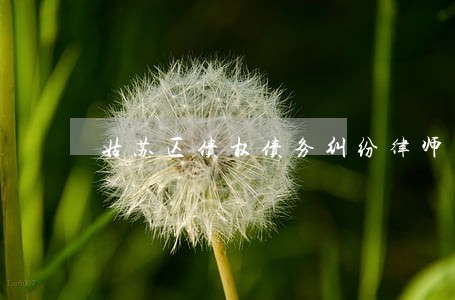 姑苏区债权债务纠纷律师