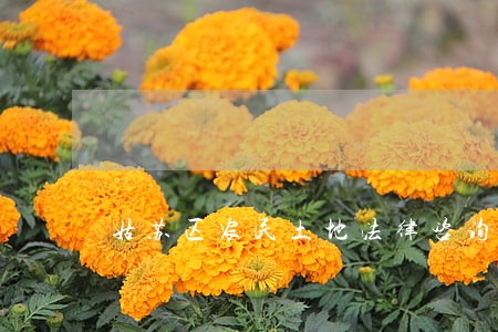 姑苏区农民土地法律咨询 姑苏区农民土地法律咨询