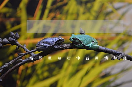 姑苏区劳动仲裁用请律师吗 姑苏区劳动仲裁用请律师吗