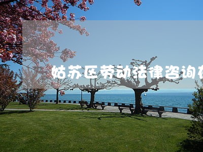 姑苏区劳动法律咨询在线 姑苏区劳动法律咨询在线