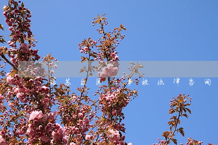 姑苏区医疗事故法律咨询 姑苏区医疗事故法律咨询