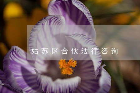 姑苏区合伙法律咨询 姑苏区合伙法律咨询