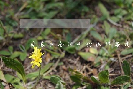 姑苏区合同纠纷法律咨询 姑苏区合同纠纷法律咨询