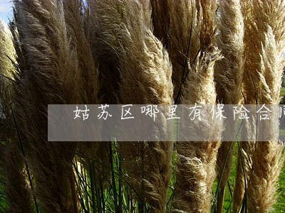 姑苏区哪里有保险合同律师哪家好