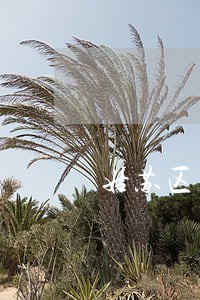 姑苏区房地产案件律师 姑苏区房地产案件律师