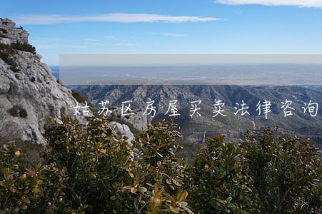 姑苏区房屋买卖法律咨询 姑苏区房屋买卖法律咨询