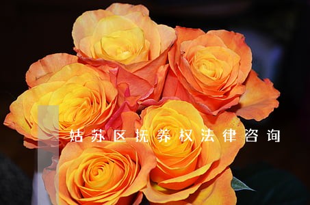 姑苏区抚养权法律咨询 姑苏区抚养权法律咨询