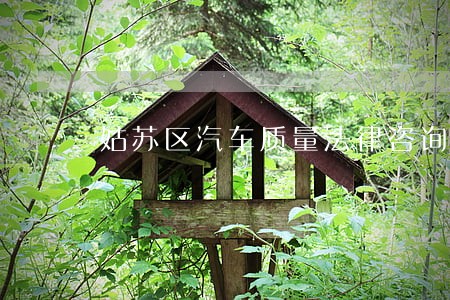 姑苏区汽车质量法律咨询 姑苏区汽车质量法律咨询