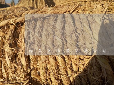 姑苏区法律咨询公司 姑苏区法律咨询公司