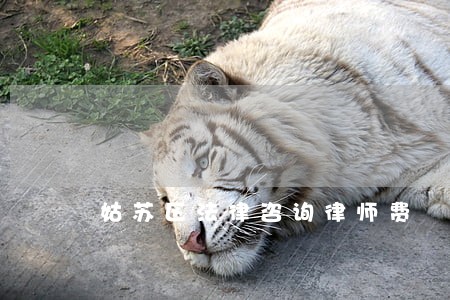 姑苏区法律咨询律师费