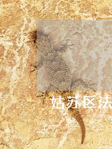 姑苏区法律咨询要钱么 姑苏区法律咨询要钱么