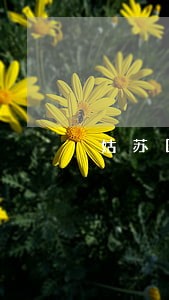 姑苏区法律咨询销售