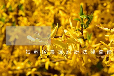 姑苏区票据纠纷法律咨询 姑苏区票据纠纷法律咨询