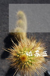姑苏区靠谱的法律咨询 姑苏区靠谱的法律咨询