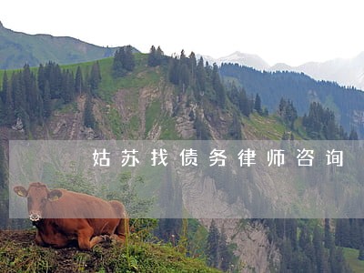 姑苏找债务律师咨询 姑苏找债务律师咨询