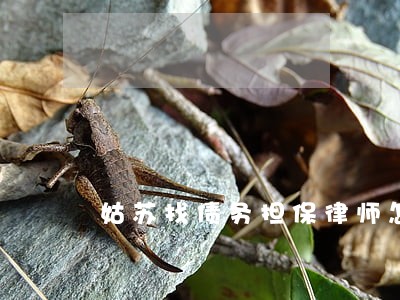 姑苏找债务担保律师怎么委托 姑苏找债务担保律师怎么委托