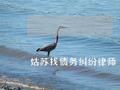 姑苏找债务纠纷律师 姑苏找债务纠纷律师