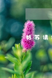 姑苏请债务纠纷律师哪个好 姑苏请债务纠纷律师哪个好