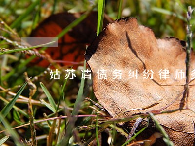 姑苏请债务纠纷律师多少钱 姑苏请债务纠纷律师多少钱