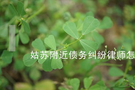 姑苏附近债务纠纷律师怎么委托 姑苏附近债务纠纷律师怎么委托