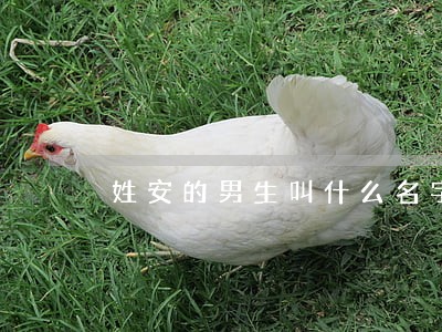 姓安的男生叫什么名字好 姓安的男生叫什么名字好
