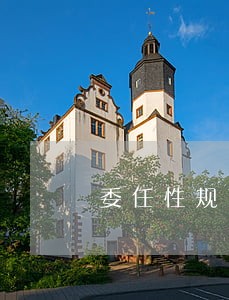 委任性规范法律条文 委任性规范法律条文