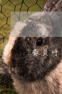 委员呼吁供热条例非改不可 委员呼吁供热条例非改不可